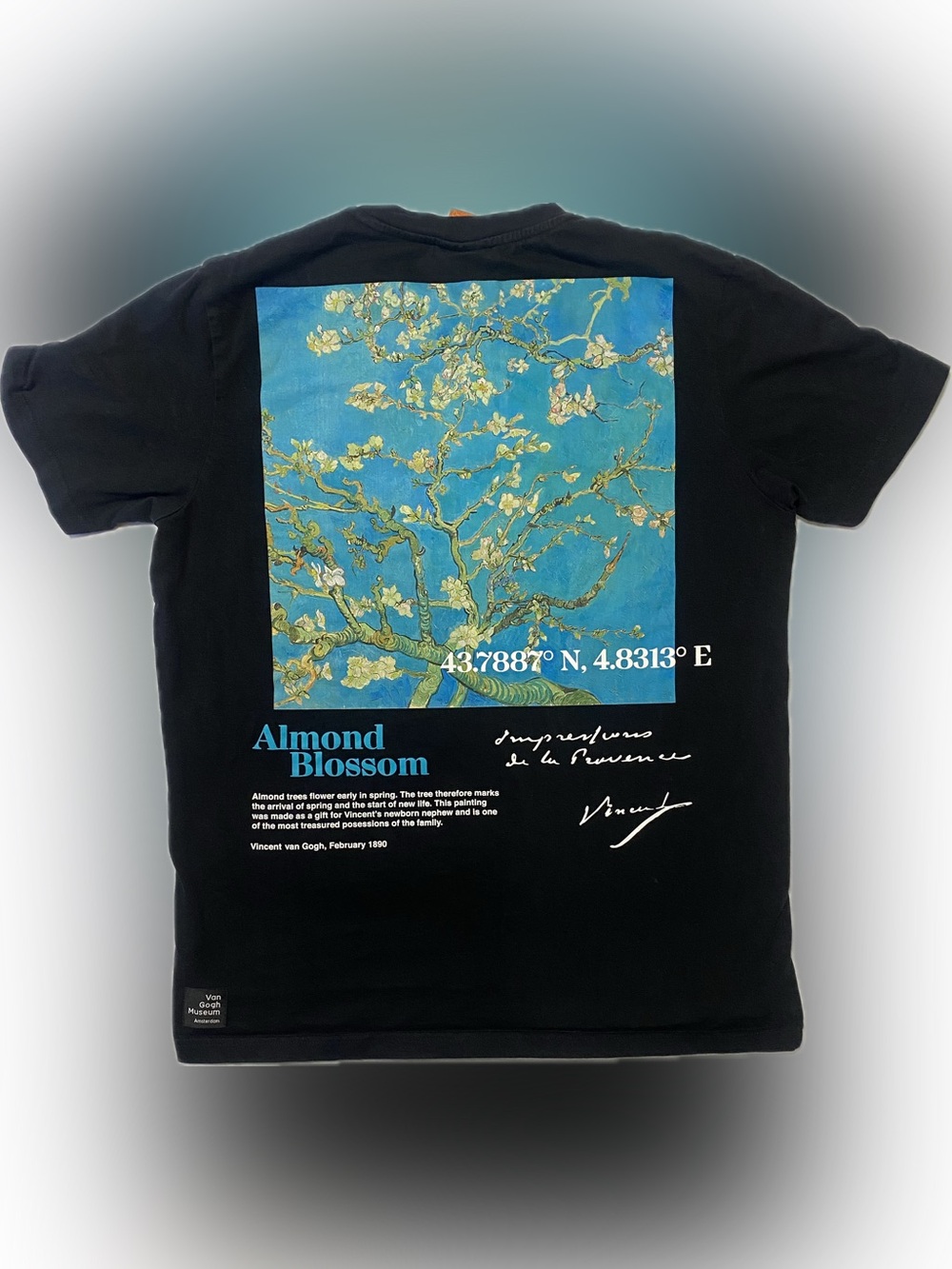 Shoe Palace collab with Van Gogh Museum Blossom Graphic Tee